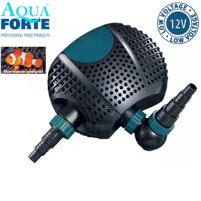Aqua Forte O 12V, 6500