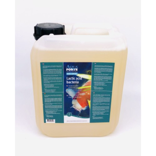 Lactic acid bacteria 5l