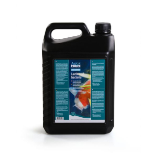 Lactic acid bacteria 5l